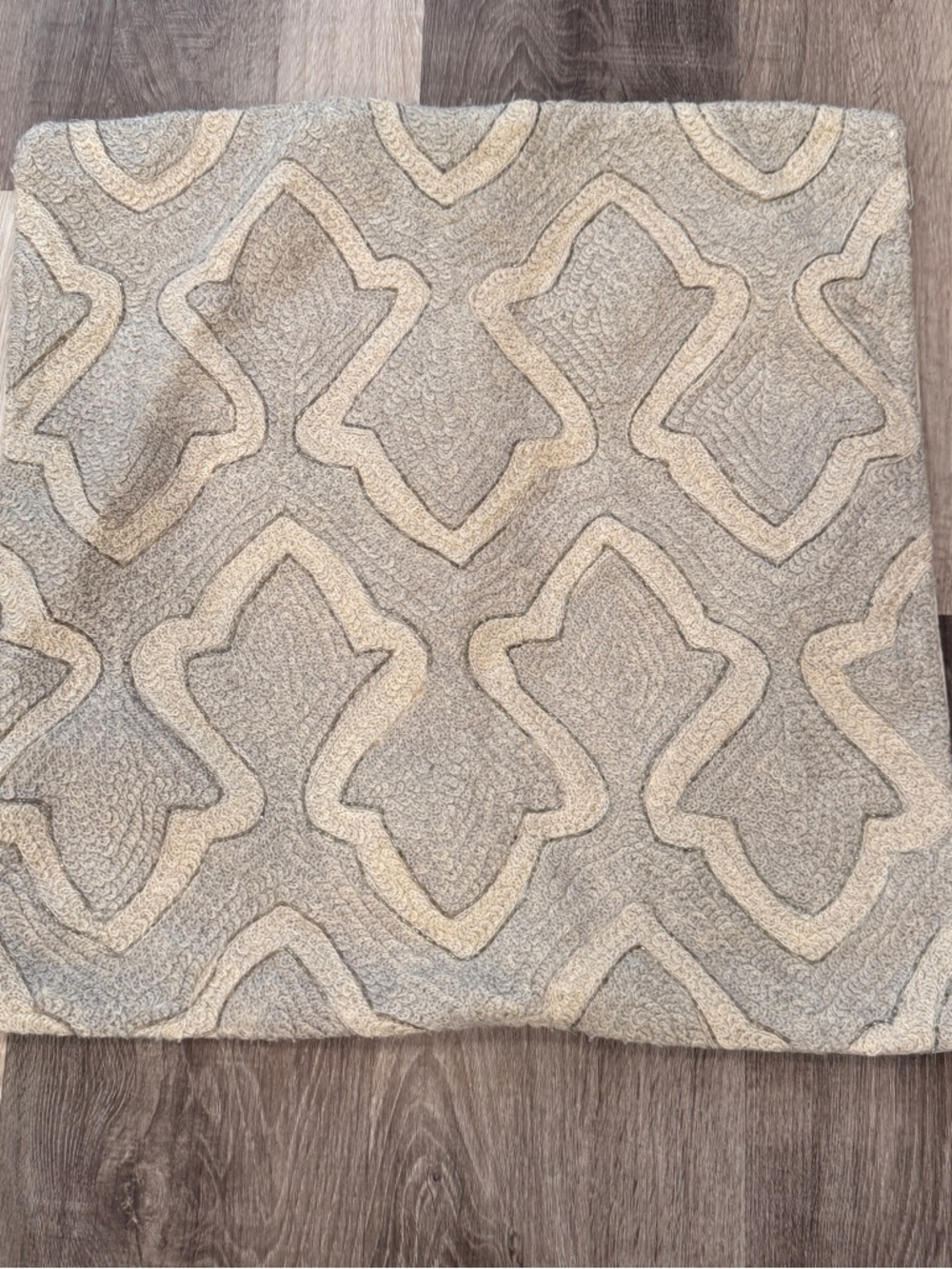 Pottery Barn Beige Silver Geometric Beaded Accent Pillow Cover Cotton 20x20
